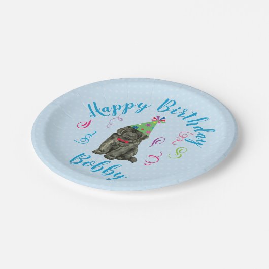 Birthday Party Newfoundland Paper Bord (Gekanteld)