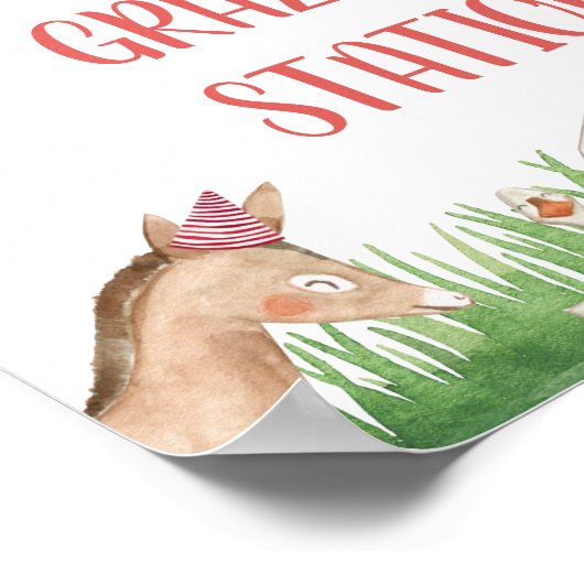 Birthday Party of roze Floral Foliage Farm Animals Poster (Hoek)