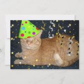 Birthday Party Oranje Tabby Cat Invite Kaart (Voorkant)