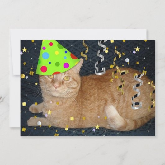 Birthday Party Oranje Tabby Cat Invite Kaart (Voorkant)