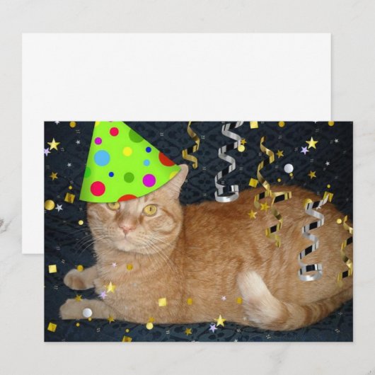 Birthday Party Oranje Tabby Cat Invite Kaart (Voorkant / Achterkant)