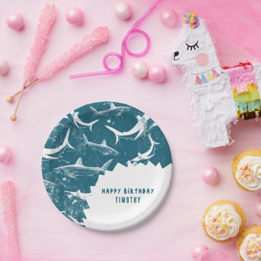 Birthday Party Papieren Bordje (Feest)