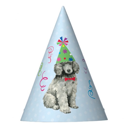 Birthday Party podle Feesthoedjes (Voorkant)