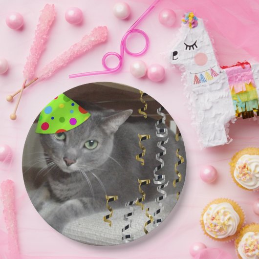 Birthday Party Russian Blue Cat Papieren Bordje (Feest)