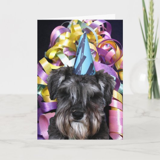 Birthday Party Schnauzer met Ribbon Behind Kaart (Voorkant)