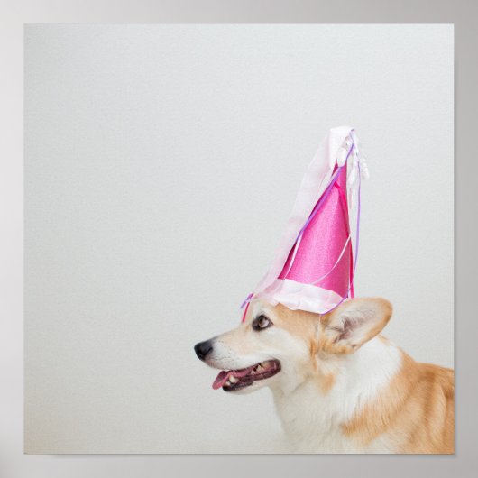 Birthday Pembroke Welsh Corgi Dog Poster (Voorkant)