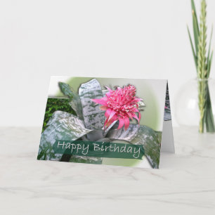 Birthday Pink Bromeliad Kaart