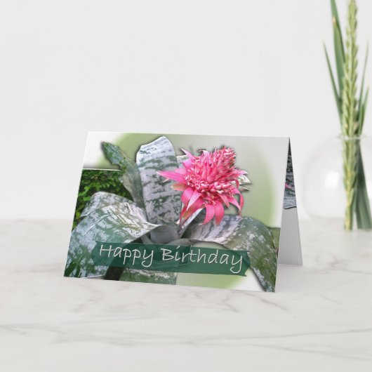 Birthday Pink Bromeliad Kaart (Voorkant)