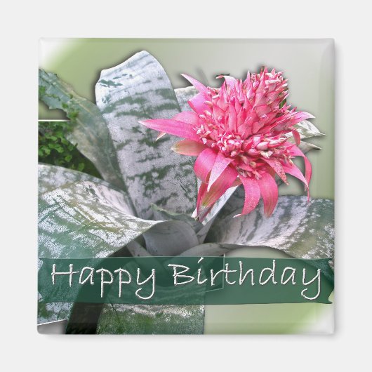 Birthday Pink Bromeliad Magneet (Voorkant)