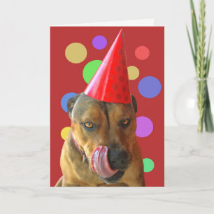 Birthday Pit Bull Cute Dog met Party Pet Kisses Kaart