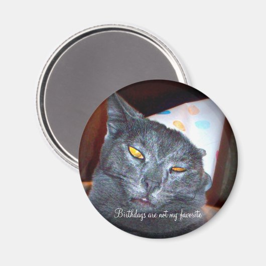 Birthday Pooper Magneet (Voorkant / Achterkant)