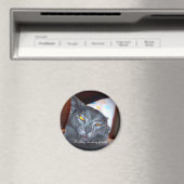 Birthday Pooper Magneet (Insitu (Vaatwasser))