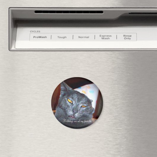 Birthday Pooper Magneet (Insitu (Vaatwasser))