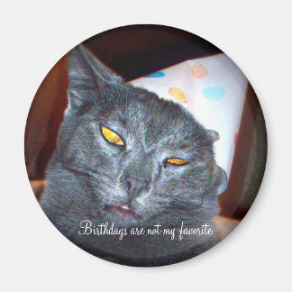 Birthday Pooper Magneet