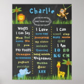 Birthday Poster Baby Theme One Party Sign (Voorkant)