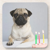 Birthday Pug Bier Onderzetter (Voorkant)