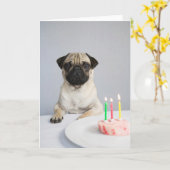 Birthday Pug Kaart (Gele Bloem)