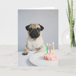 Birthday Pug Kaart