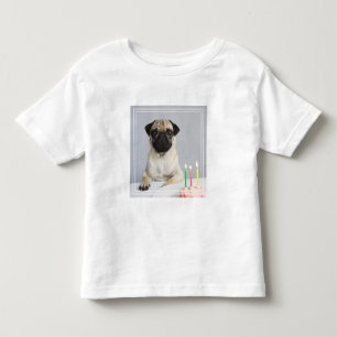 Birthday Pug Kinder Shirts