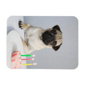 Birthday Pug Magneet (Horizontaal)