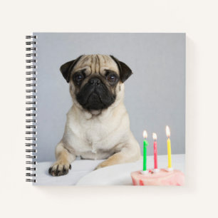 Birthday Pug Notitieboek