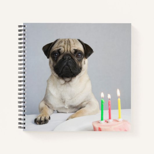 Birthday Pug Notitieboek (Voorkant)