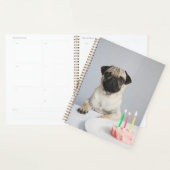 Birthday Pug Planner (Display)