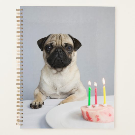 Birthday Pug Planner (Voorkant)