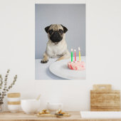 Birthday Pug Poster (Keuken)