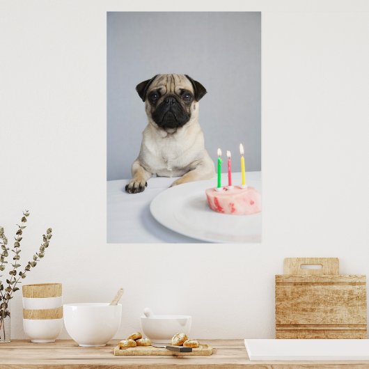Birthday Pug Poster (Keuken)