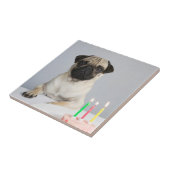 Birthday Pug Tegeltje (Zijkant)
