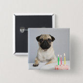 Birthday Pug Vierkante Button 5,1 Cm (Voorkant /achterkant)