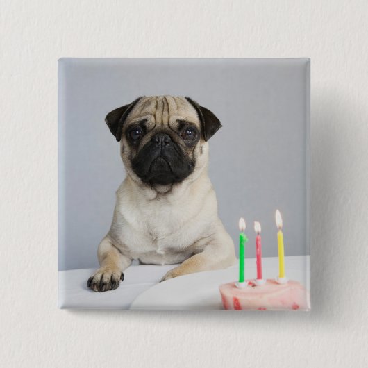 Birthday Pug Vierkante Button 5,1 Cm (Voorkant)