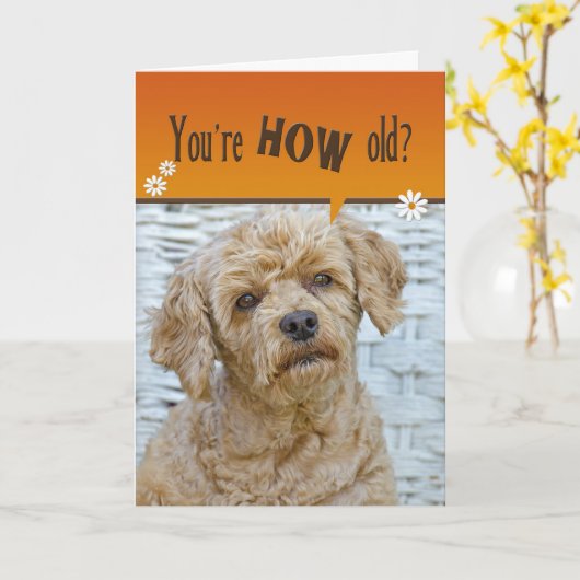 Birthday Pup Kaart (Gele Bloem)