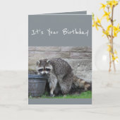 Birthday Raccoon Bucket met Fun Humor Card Kaart (Gele Bloem)