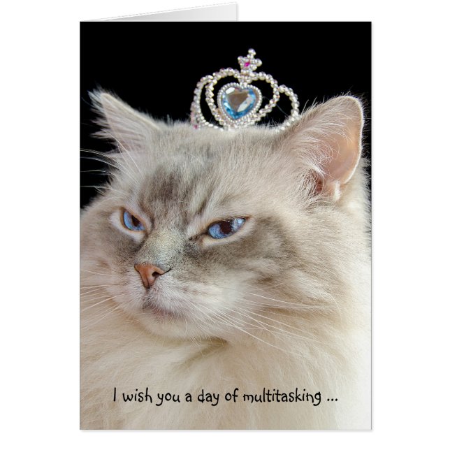 Birthday Ragdoll Cat with Crown (Voorkant)