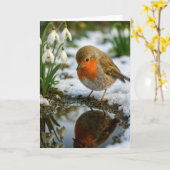 Birthday Robin with Snowdrops Kaart (Gele Bloem)