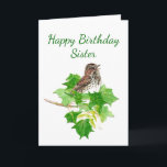 Birthday Sister Song Sparrow Bird Kaart<br><div class="desc">Perfect als je van vogels houdt,  bevallen of dunne rijen. Waterverf Song Sparrow Bird voor de zus die je waardeert com. com</div>