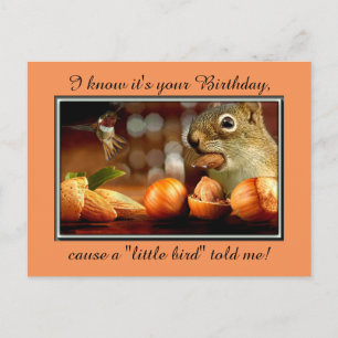 Birthday Squirrel Briefkaart