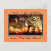 Birthday Squirrel Briefkaart (Voorkant)