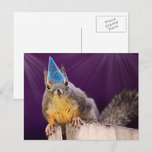 Birthday Squirrel Foto Briefkaart (Voorkant / Achterkant)