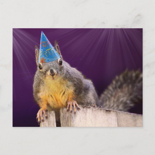 Birthday Squirrel Foto Briefkaart (Voorkant)