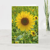 Birthday Sunflower Kaart (Voorkant)