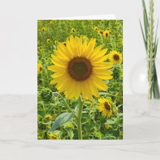 Birthday Sunflower Kaart (Voorkant)
