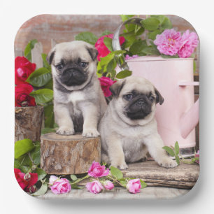 Birthday Sweet Baby Pugs Floral Party Papieren Bordje
