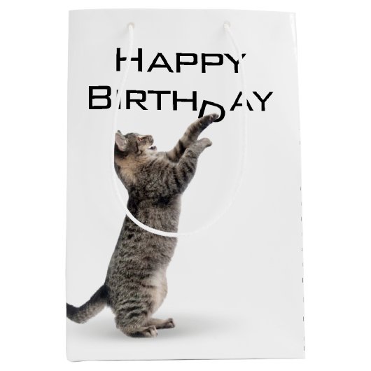 Birthday Tabby Cat Medium Cadeauzakje (Voorkant)
