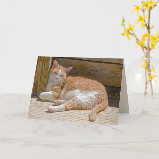 Birthday Tabby Cat Nap Kaart (Gele Bloem)