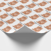 Birthday Tabby Kitten op wit Cadeaupapier (Hoek)