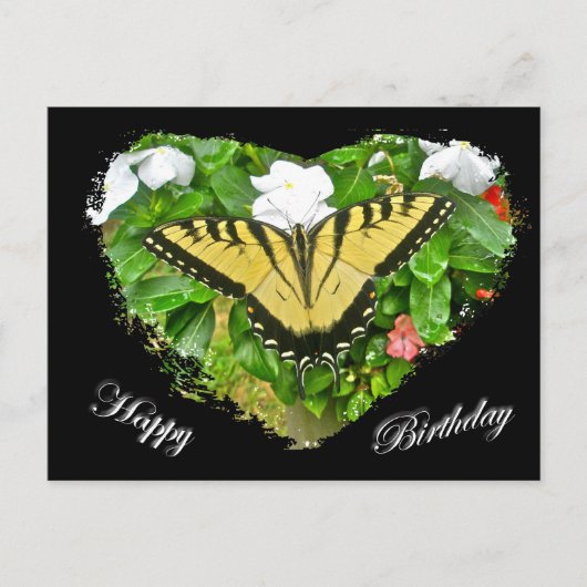 Birthday Tiger Swallowtail Butterfly Items Briefkaart (Voorkant)