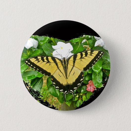 Birthday Tiger Swallowtail Butterfly Items Ronde Button 5,7 Cm (Voorkant)